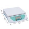 White 30kg TS500 Plastic White Electronic Scales Weighing Kitchen Scales Grams Balance LCD Display Universal for Home Electronic Balance Weight