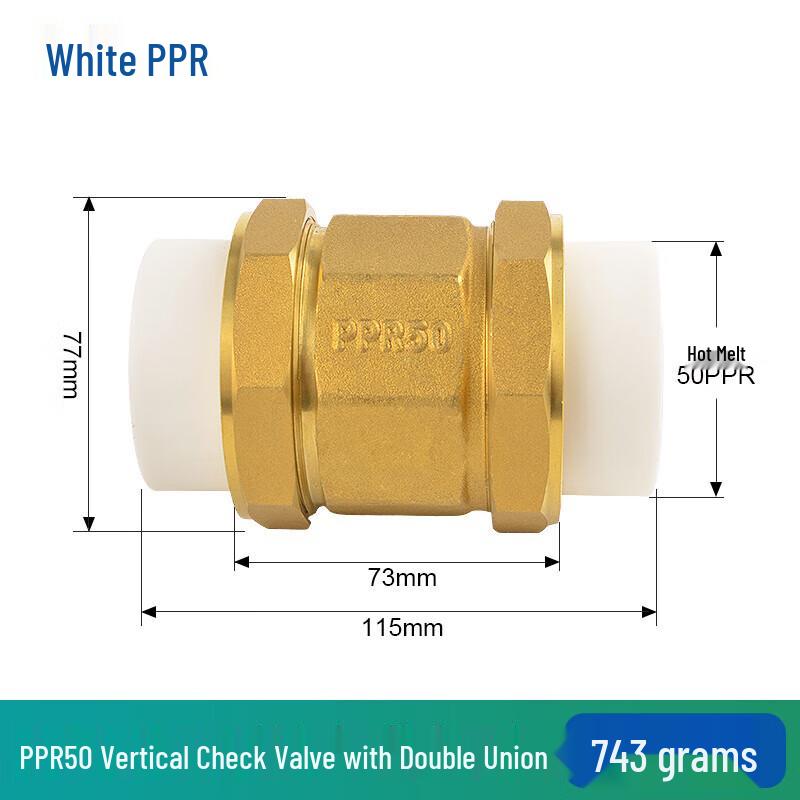 Xingqishi Brass Vertical Spring Check Valve