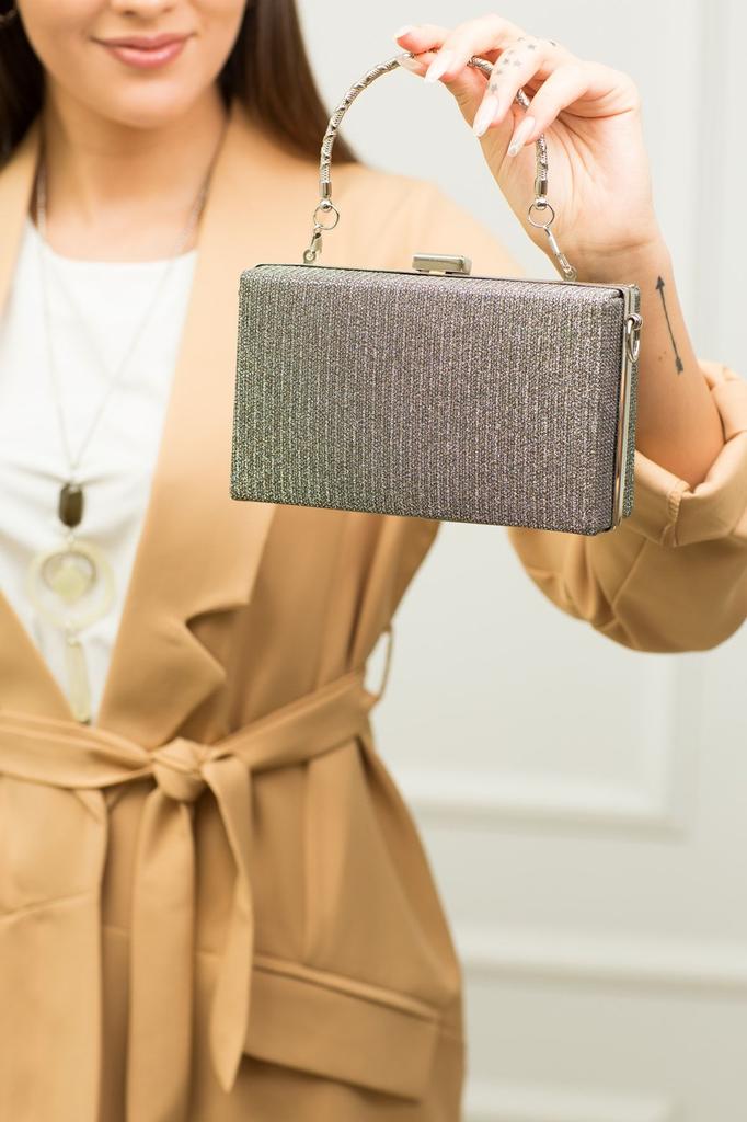 Women's Stylish and Useful Evening Dress Bag Women's Platinum Silvery Evening Dress Bag