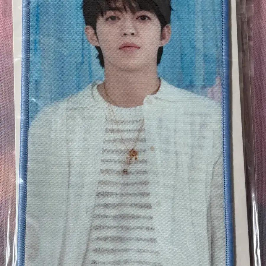 SEVENTEEN Flag Keyring Keyring S.Coups Choi Seungchul