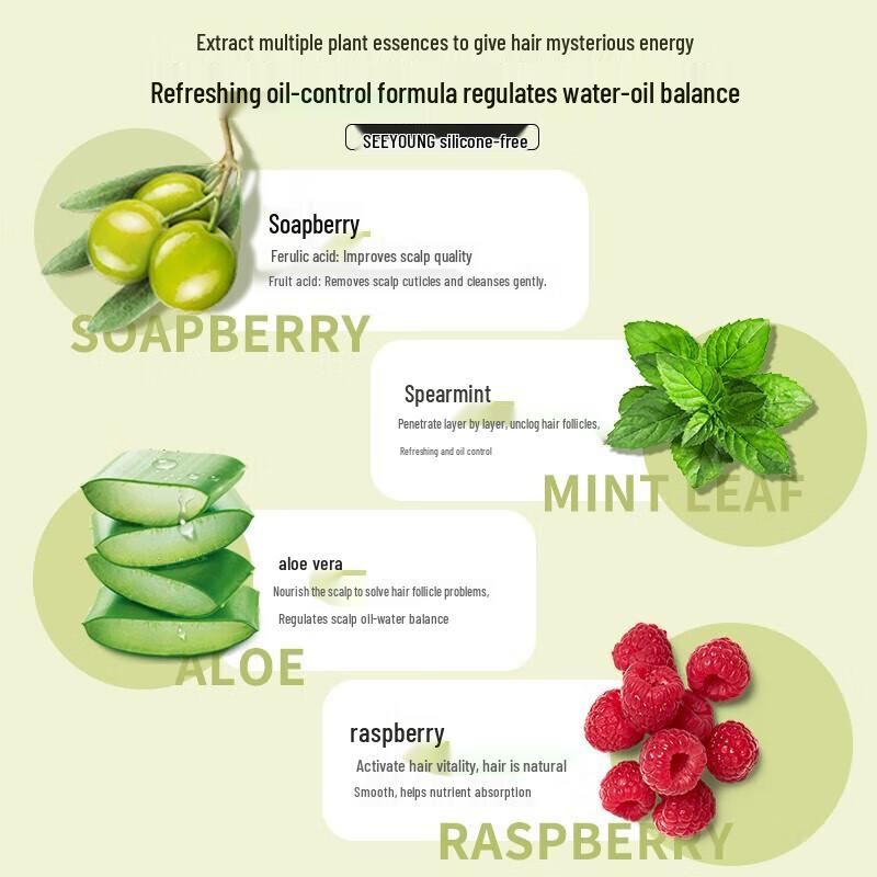 Seeyoung Sapindus Oil Control Refreshing Shampoo