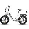 RATTAN LF PRO Versatile City E-Bike 750W Motor 48V18AH Battery 20*4 Inch Fat Tires Urban Commuting Electric Scooter For Adult With TowSeat