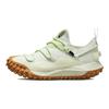 ACG Mountain Fly Low GTX SE Sea Glass Мужские кроссовки Зеленый Лайм-Лед DD2861-001