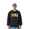 Puma Мужская толстовка с круглым вырезом и логотипом, с длинным рукавом, в американском стиле, черная 536769-01