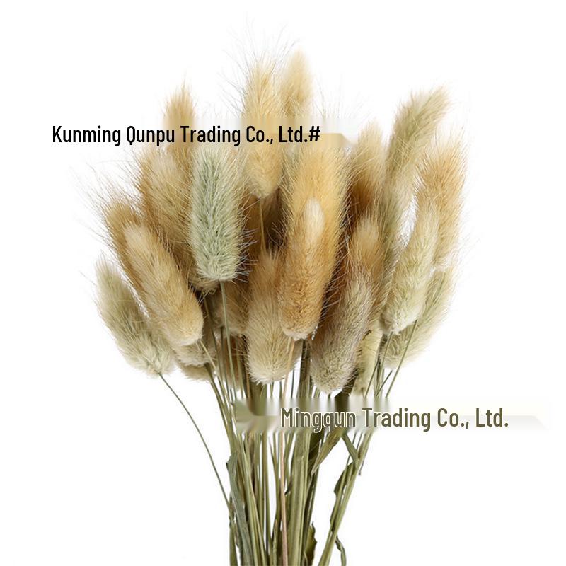 Preserved Dried Rabbit Tail and Foxtail Grass Bouquet