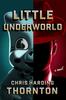 Книга Little Underworld : A Novel