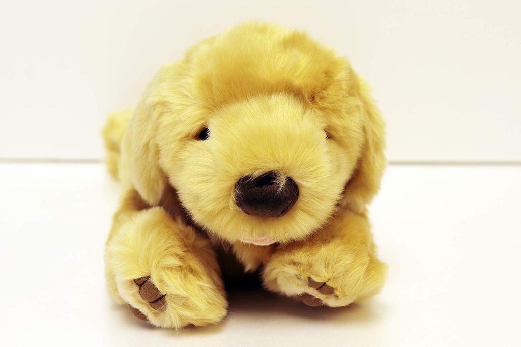 Yoshinori Golden Retriever Plush Toy S 180371