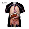 3D Printing Skeleton Internal Organs T-shirts Men’s Casual Round Neck Short-sleeved T-shirts