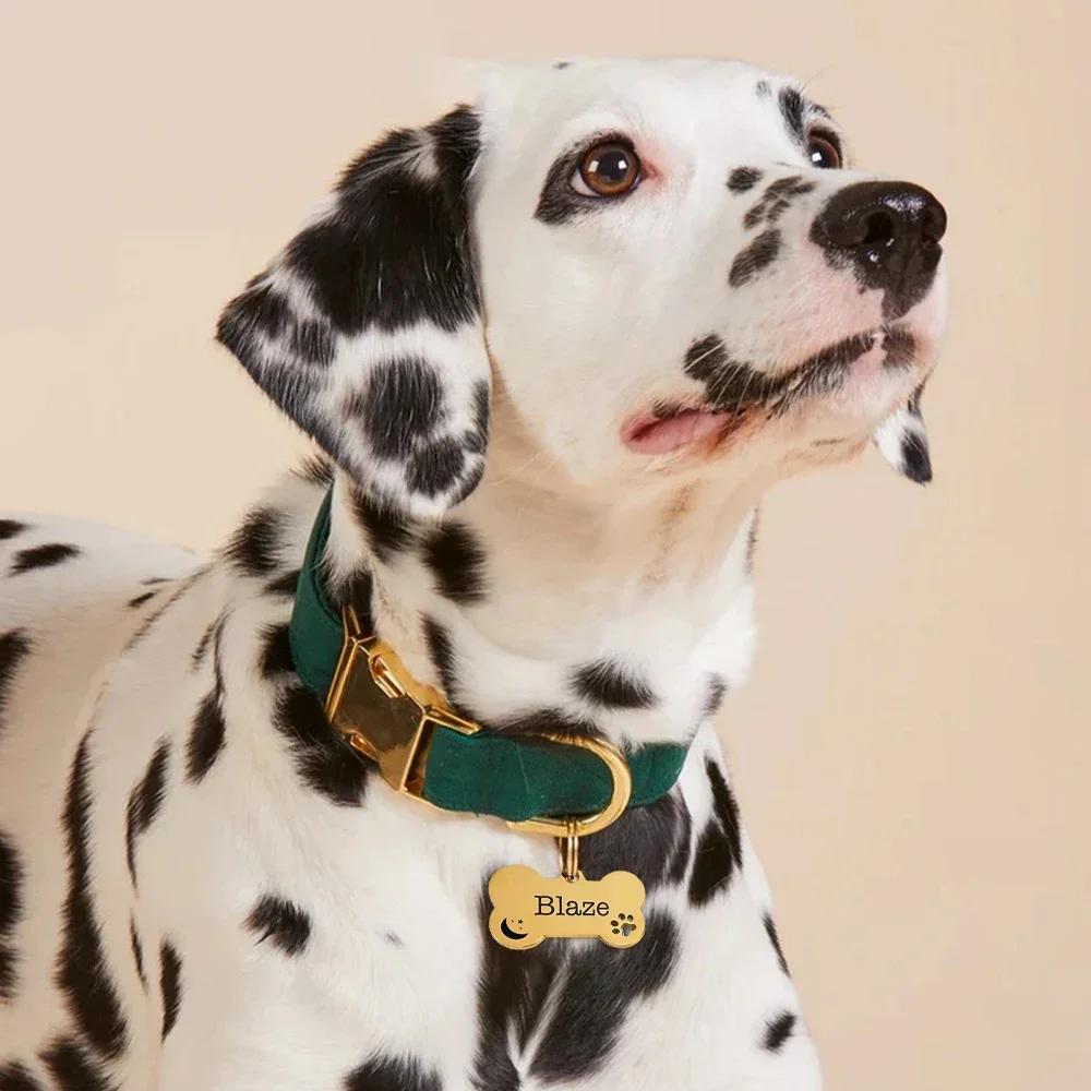 Персонализированные бирки для собак из нержавеющей стали с защитой от потери, бирки для домашних животных
