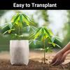 100 ШТ Дышащие пакеты для рассады растений Биоразлагаемые горшки для выращивания Тканевые контейнеры для рассады Предметы первой необходимости для домашнего садоводства