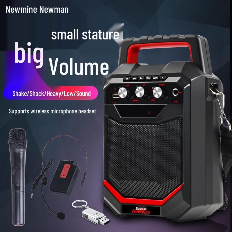 Newmine K66 Portable Bluetooth Speaker with Wired Microphone CN plug (adapter included)