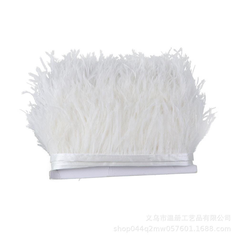 Multi-Color Ostrich Hair Cloth Edge Bridal Dress Stage Decoration Feather Lace Quantity Is More Excellent