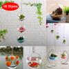 Hanging Transparent Ball Glass Flower Planter Vase Terrarium Landscape Container