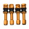 Tubeless High Pressure Bikes Motorcycles TR48E Tire Valve Stems Valves Dust Caps Bolt-in