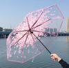 1PC Portable cute flower household rain gear cherry blossom transparent umbrella wind and rain protection 3 fold PVC umbrella
