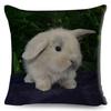 High Resolution Animal Photography Print Cushion xcm Realistic Rabbit Imagery Soft Natural Lighting Gentle Color Palette