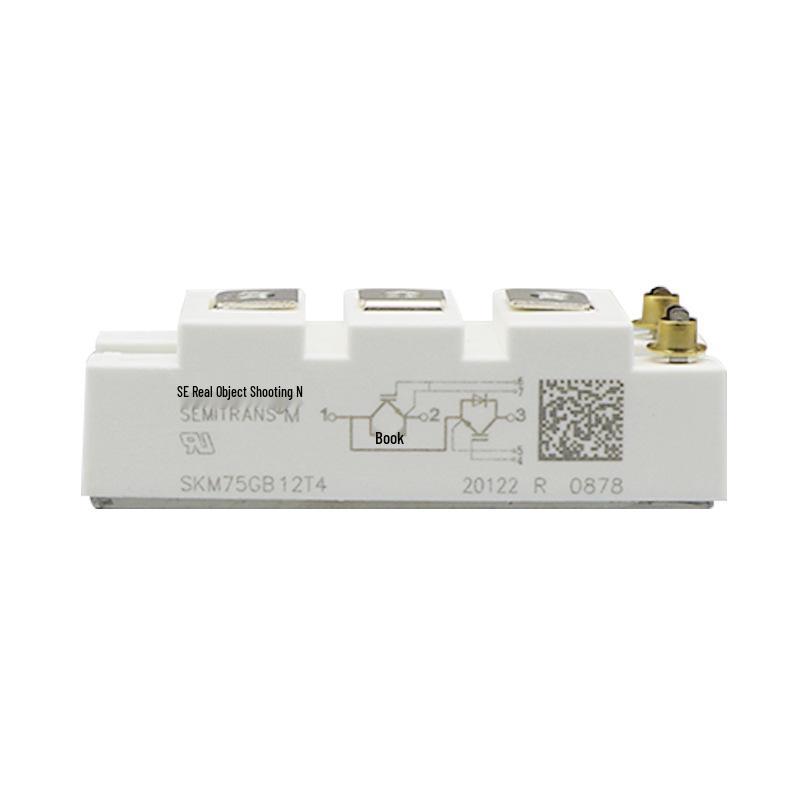 SKM Series Power Module: IGBT Single Transistor (Models: SKM300GAL128D, SKM400GAL128D, SKM50GAL12T4)