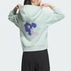 Adidas W Fustl Hoodie Floral Print Sports Casual Pullover Hoodie Women Hoodies Light-Green IM8983