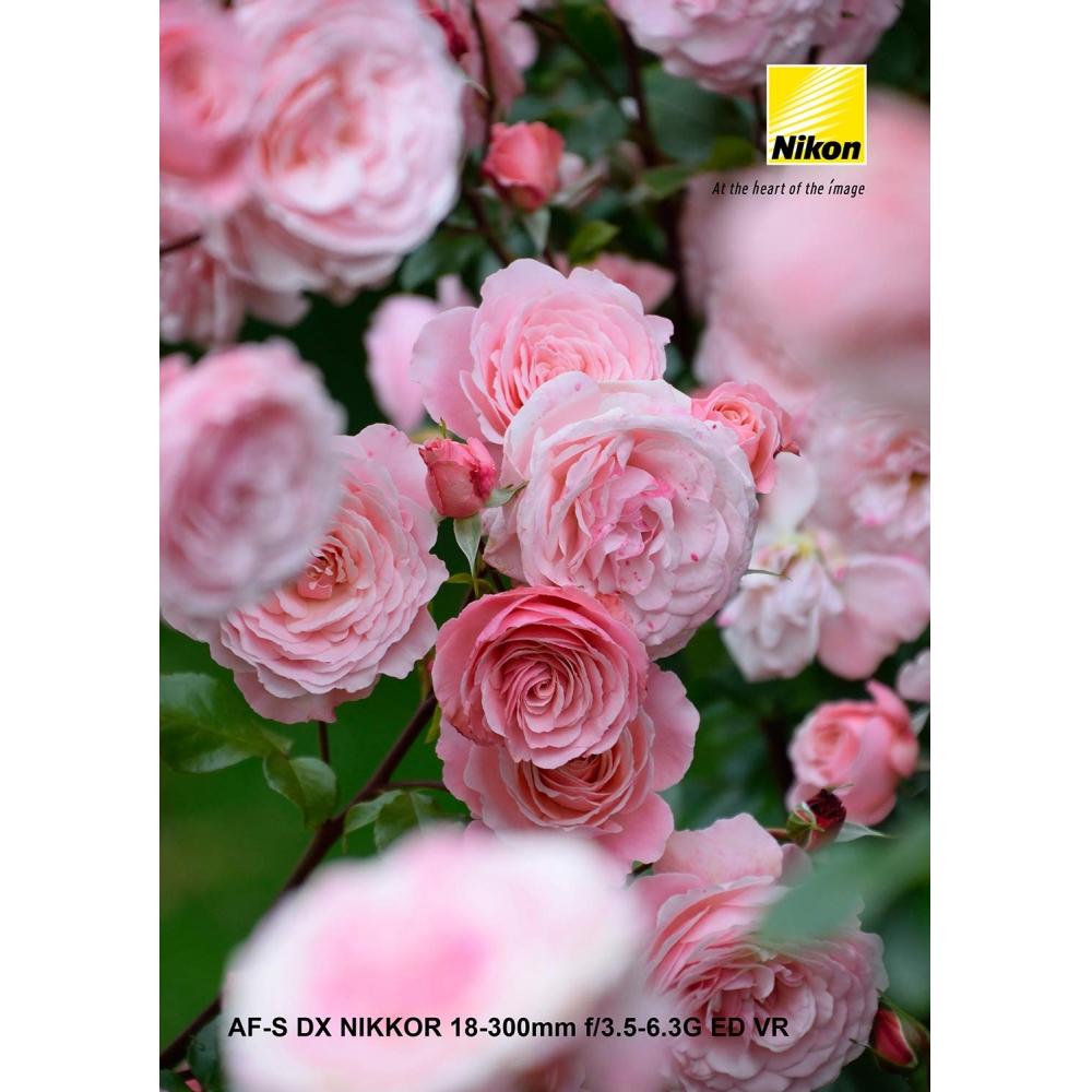 Зум-объектив Nikon с большим увеличением AF-S DX NIKKOR 18-300mm f3.5-6.3G ED VR, эксклюзивно для формата Nikon DX