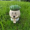 Resin Succulent Flowerpot Cartoon Plant Cultivation Pot Flower Planter  Landscape Planting