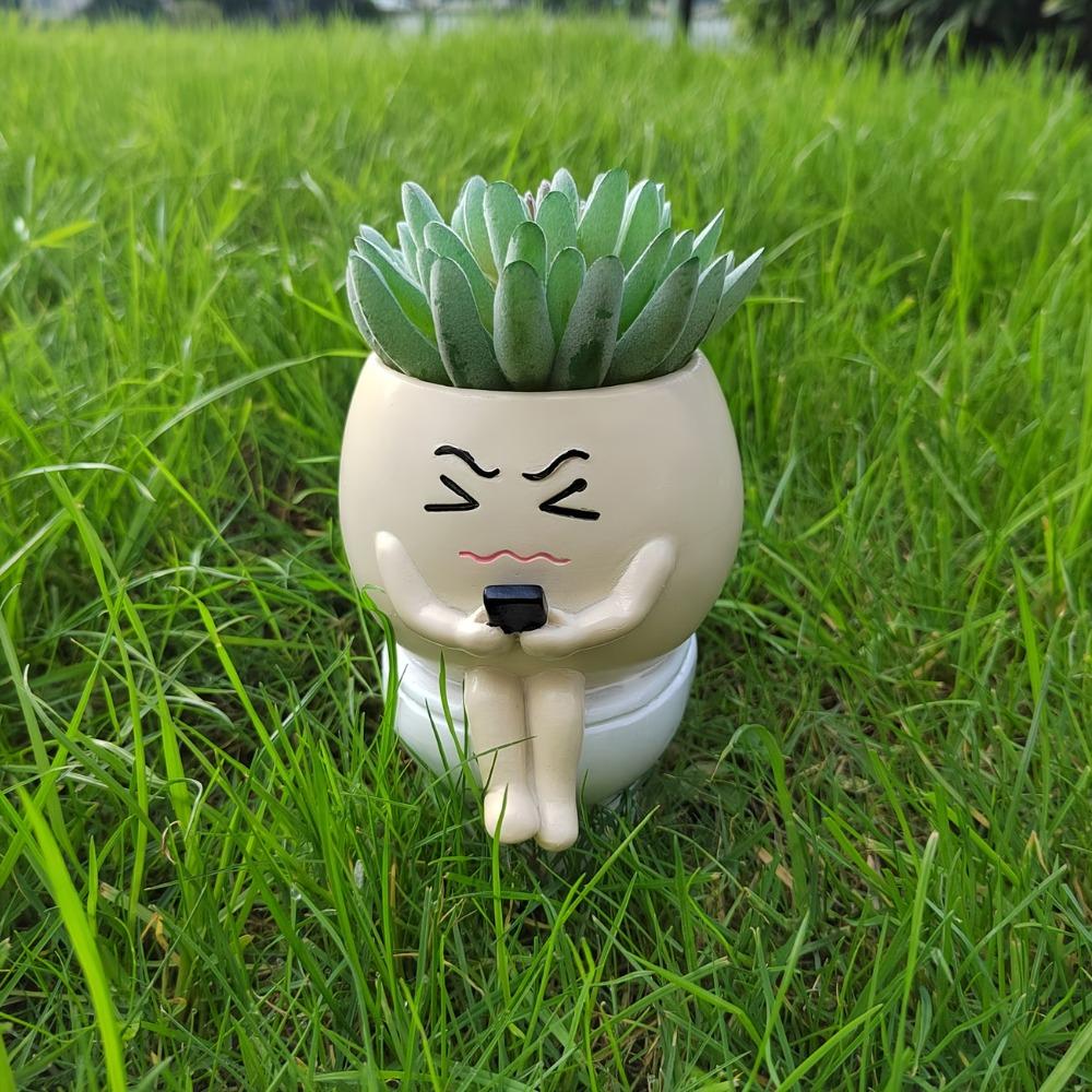 Resin Succulent Flowerpot Cartoon Plant Cultivation Pot Flower Planter  Landscape Planting