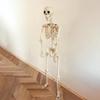 Halloween Skeleton Life Size Human Skeleton With Posable Joints Weather-Resistant Outdoor Decorations Spooky Photo Props Party