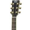 Акустическая гитара YAMAHA LL6 ARE BL