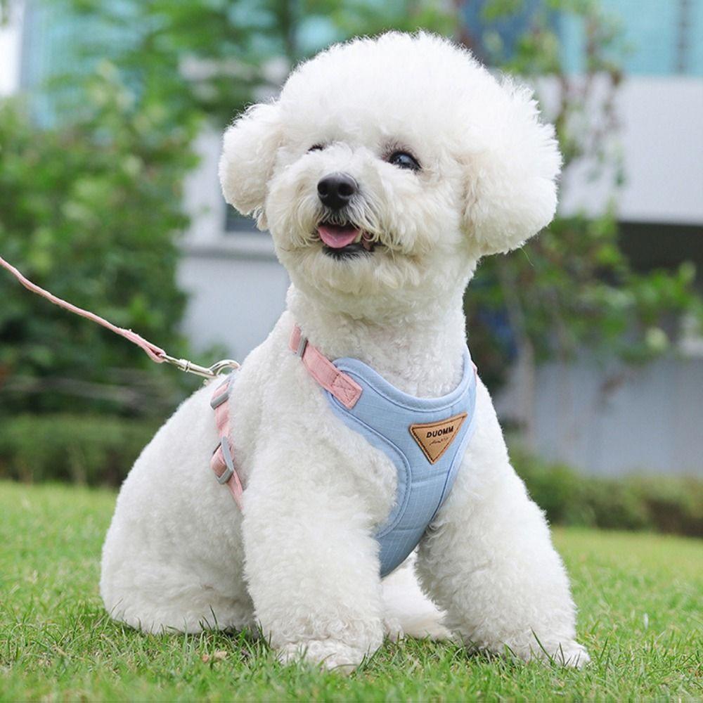 Soft Dog Harness and Leash Set Mesh Dog Harness with Traction Leash Dog Chest Straps  Walking