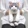 Солнечный Лимон Кот на Коленях Сабасиро Средний 16 x 47 x 18см Плюшевое Животное Милый Кот P-7792