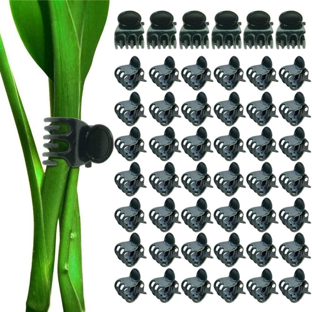 100Pcs Supplies Garden Tools Plant Clips Vine Grafting Butterfly Clamp Fruit Vegetable Stem