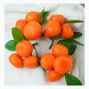 And Leaves Fruit Display Imitation Fruits Fake Oranges Artificial Fruit Tangerine Model Party Decor