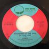 7-дюймовая пластинка LOBO - Standing At The End Of The Line BT15001 Big Tree Record 1974 США Рок Б/У
