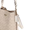 COACH Mollie 22 Bucket Bag