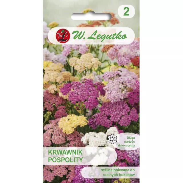 Legutko Carpathian Bellflower Seeds/Campanula Carpatica/Mix/0.30g