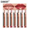 QIBEST Lipstick Pencil Lip Liner Combo Set Matte Matte Waterproof Lipstick Pencil Waterproof Lip Pencil 15 Colors
