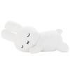 Bruna Sleeping Friend Plush Toy, Medium, Rabbit (White)