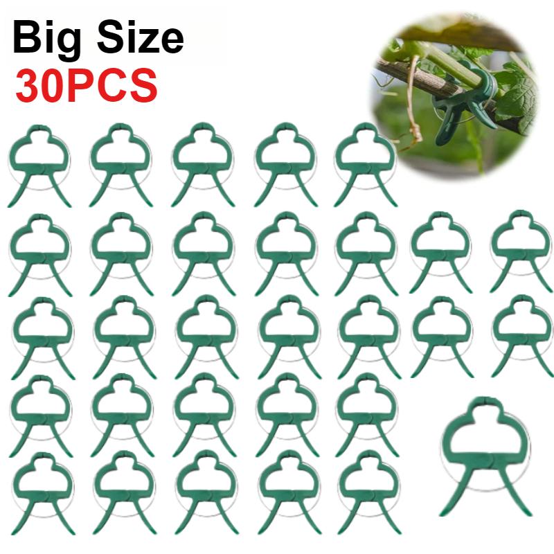 50 шт. фиксированных зажимов для растений, многоразовый зажим для садовой теплицы, кронштейн для фиксированных растений, инструментов для поддержки стеблей саженцев виноградной лозы