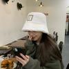Толстая теплая плюшевая шапка женская осенне-зимняя универсальная тканевая шляпа-ведро с изображением умывальника
