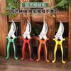 Stainless Steel Garden Pruning Shears for Trees and Branches
