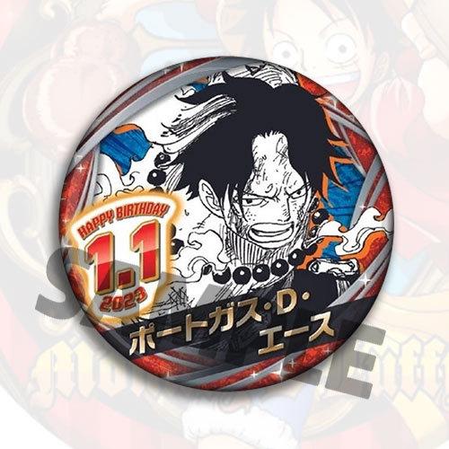 Anime One Piece Badge Pin Set  New Ace Sanji Sabo Robin Character Brooch Accessories Birthday Gift For Fans Collection