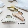 Elegant Korean Acetate Large Claw Hair Clip for Women