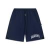 Li Ning Badfive Буквенный принт Спортивные шорты на шнурке Мужские шорты Темно-синий AKST511-8