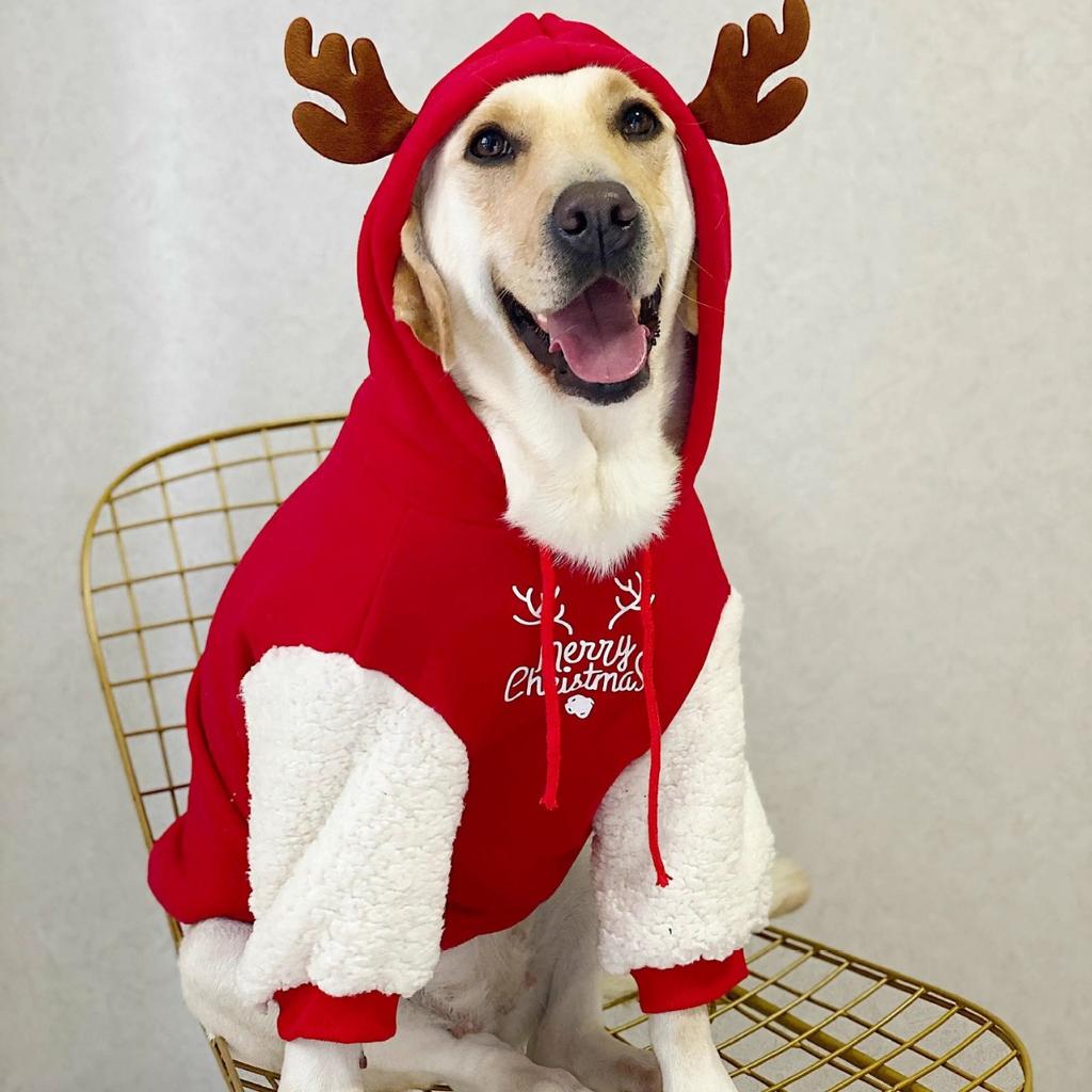 Christmas Dog Clothes Pet Dog Clothes Winter Warm Cotton Fleece Christmas Fawn Sweatshirt Large Dog Golden Retriever Labrador