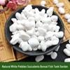 Hanbaiyu Natural White Pebbles for Gardening and Landscaping