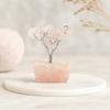 Rose Quartz Crystal Tree 15 Gemstones, Orgonite Base