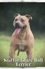 Книга Staffordshire Bull Terrier : Dog Breed Overview and Guide