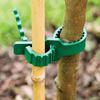 10Pcs Reusable Adjustable Tree Fixing Buckle Plastic Climbing Plants Tree Ties Garden Supplies