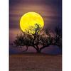 New 5D DIY Diamond Painting Night View Diamond Embroidery Full Moon Cross Stitch Full Round Drill Home Decor Manual Gift