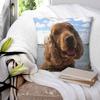 Funny Cool Cocker Spaniel Dog Animal Square Pillowcase Pillow Cover Polyester Cushion Decor Comfort Throw Pillow for Home Sofa