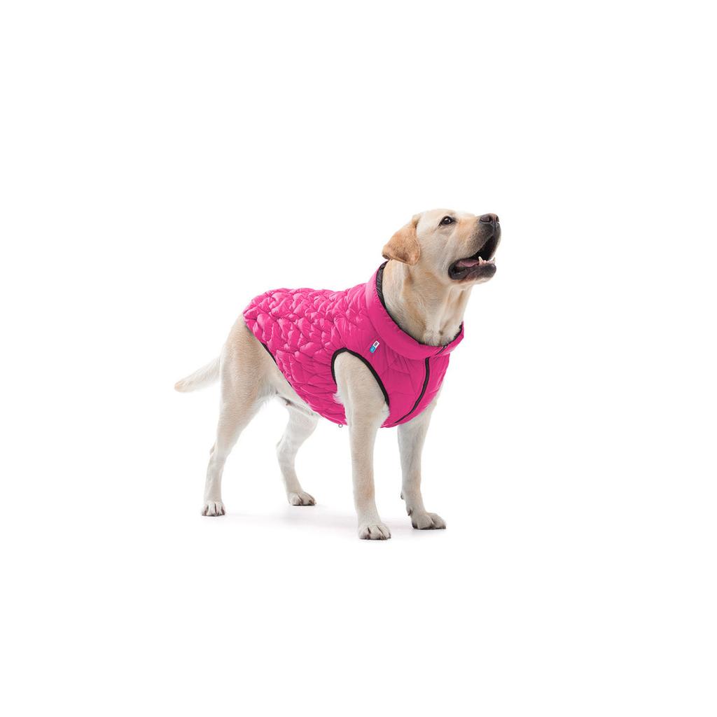 Uno Jacket for Dog